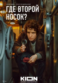 Где второй носок? (2024)